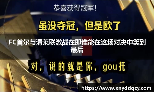 FC首尔与清莱联激战在即谁能在这场对决中笑到最后